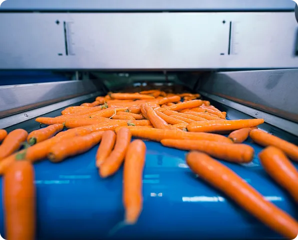 Пищевая промышленность