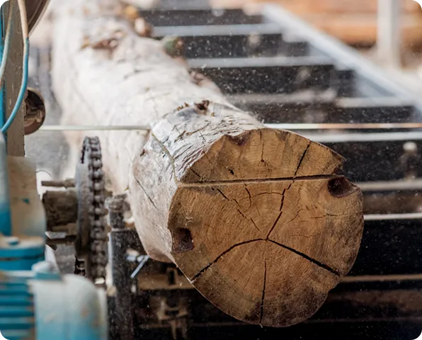 Лесная, деревообрабатывающая и целлюлозно-бумажная промышленность