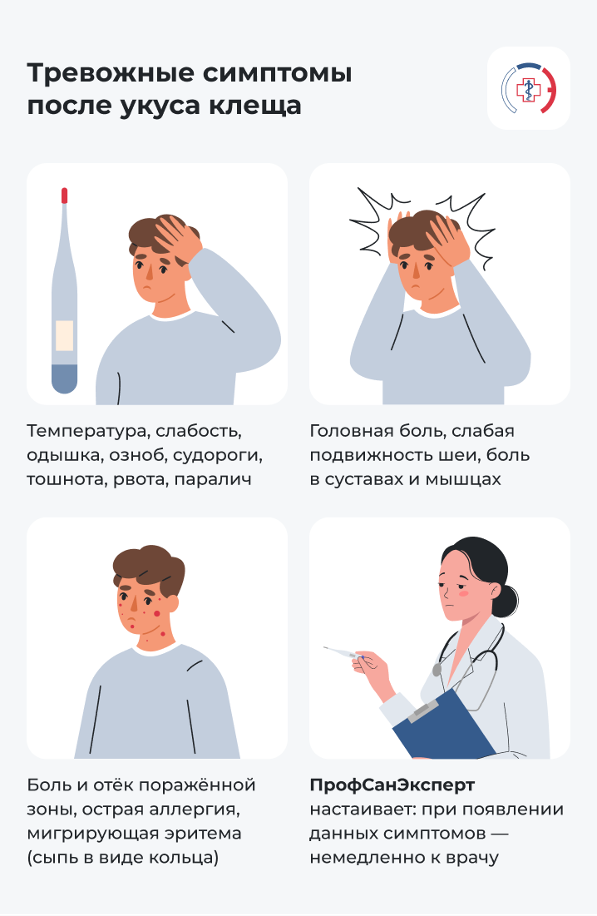 Инфографика симптомов