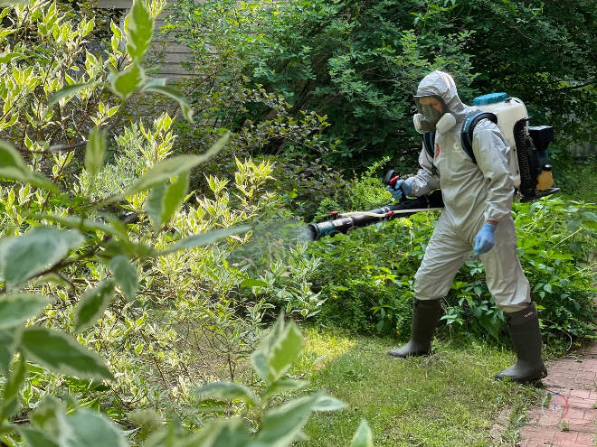 Обработка участка